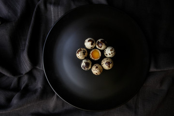 Quail Eggs