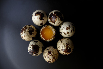 Quail Eggs