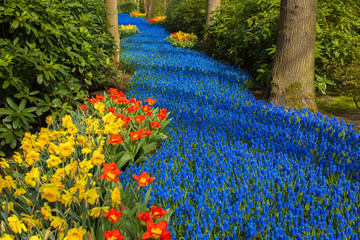 A blue river in the forest, formed from flowers.