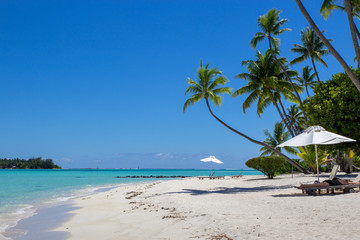 Obraz premium Lounging in Bora Bora