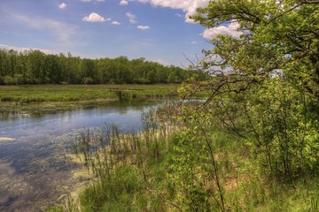 Summer in Schoolcraft State Park located in Northern Minnesota