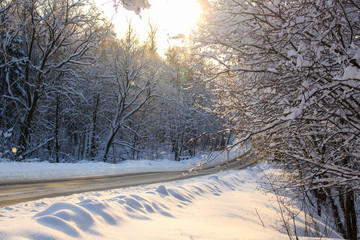 Road in a sunny winter day
