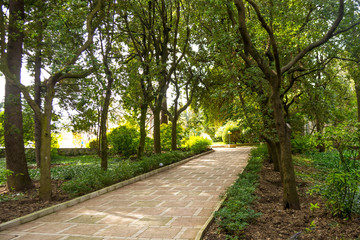 Fototapeta premium Natural Park