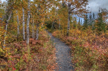 The Plants in Silver Bay, Minnesota on the Shores of Lake Superior change Color in October