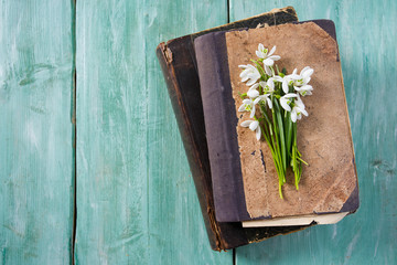 snowdrops on turquoise wooden surface