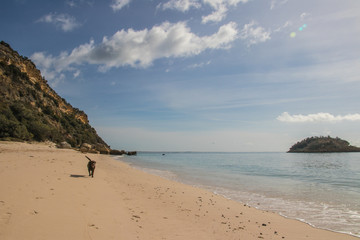 Obraz premium Beach with Island