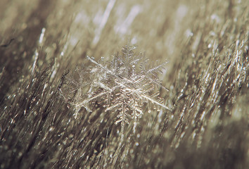 Snowflake at the grey background