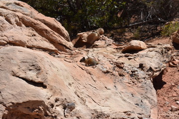 Geologic Wonders of Arches National Park - Utah