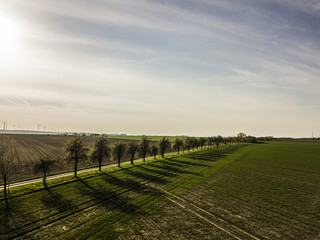 Trees and fields in Saxony-Anhalt ( Germany ) from above in spring at sunset