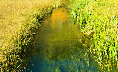 Stream in between the grass in Utah