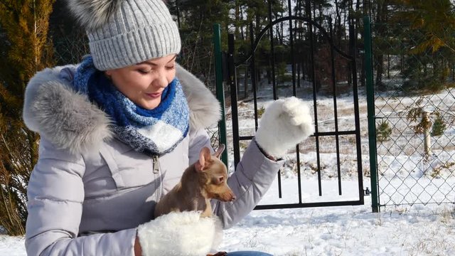 Young woman playing with her dogs, pinscher ratter prazsky krysarik and dachshund, outdoor during winter weather.