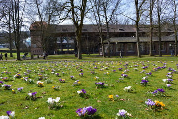 Frühling im Kurpark Bad Orb - Hessen