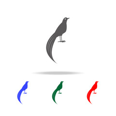 bird of paradise icon. Elements of Australian animals multi colored icons. Premium quality graphic design icon. Simple icon for websites; web design; mobile app, info graphics