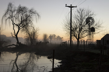 Amanecer de campo