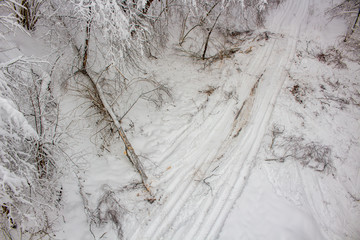Broken tree after a heavy snowfall in winter, top view
