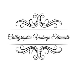 Calligraphic elements. Ornament, swirls, filigree elements. Wedding cards, invitations, save the date, Christmas. Vector.