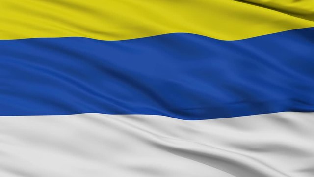 Peumo closeup flag, city of Chile, realistic animation seamless loop - 10 seconds long