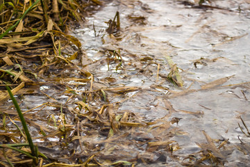 Thin ice on the river in autumn
