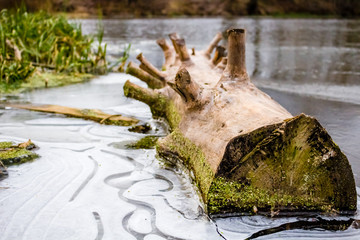 Thin ice on the river in autumn

