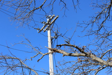 Poste de Luz 