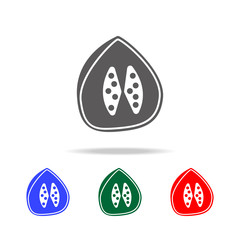 pitaya icon. Elements of Indian culture multi colored icons. Premium quality graphic design icon. Simple icon for websites, web design, mobile app, info graphics