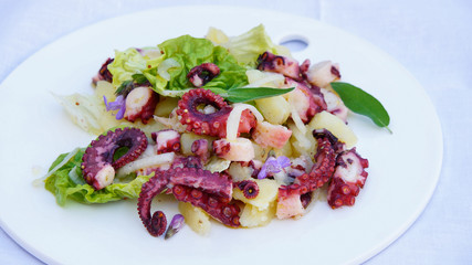 octopus salad with potato