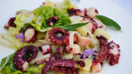 octopus salad with potato