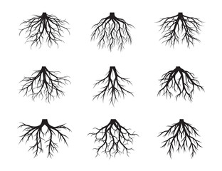 Big set of Black Roots Tree. Vector Illustration.