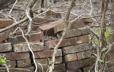Abandoned Bricks