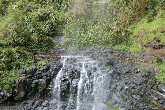 Walking Track Behind The Curtain Of The Stunning Purling Brook Falls In The Gondwana Rainforests - Springbrook, Queensland, Australia