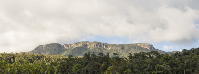 Panorama of Alto Paquisha Tepuy in the Cordillera del Condor emerging from the rainforest. On the...