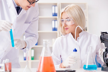 Fototapeta premium Dwóch chemików rozmawia w laboratorium