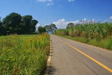 Fototapeta na wymiar landscape of road and blue sky