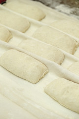 Fresh bread dough 