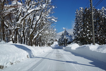 Obraz premium 雪で真っ白の道路
