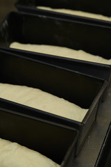 Fototapeta na wymiar Bread dough in mold 