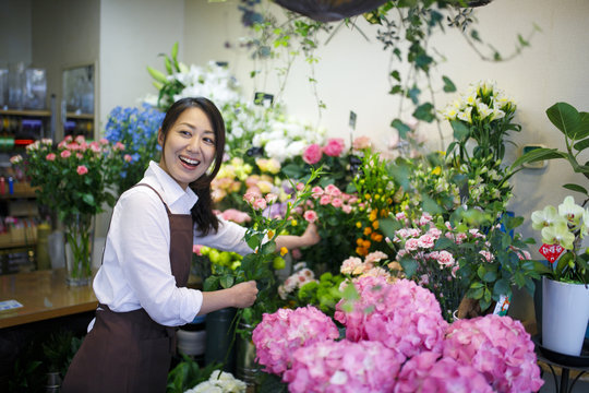 244 Best 花屋 Images Stock Photos Vectors Adobe Stock 244 Best 花屋 Images Stock Photos Vectors Adobe Stock