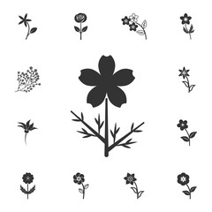 Flower icon. Detailed set of Flower illustrations. Premium quality graphic design icon. One of the collection icons for websites, web design, mobile app