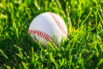 Baseball Ball on Grass Field