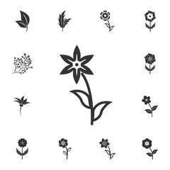 Flower icon. Detailed set of Flower illustrations. Premium quality graphic design icon. One of the collection icons for websites, web design, mobile app