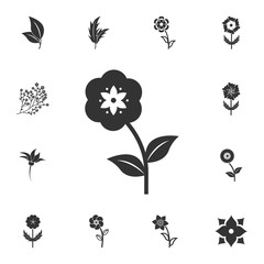 Flower icon. Detailed set of Flower illustrations. Premium quality graphic design icon. One of the collection icons for websites, web design, mobile app