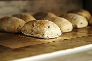 Bread in oven 