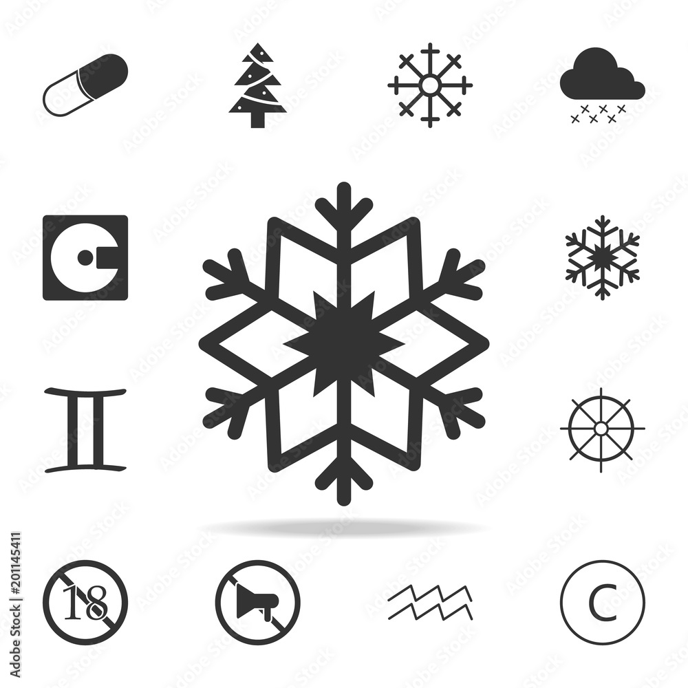 Poster snowflake icon. detailed set of web icons. premium quality graphic design. one of the collection ico