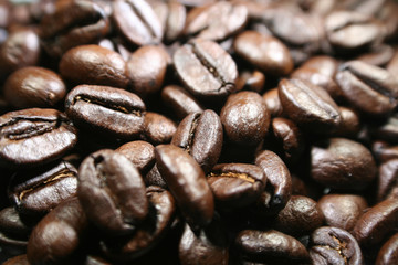 Coffee Beans Close Up High Quality 