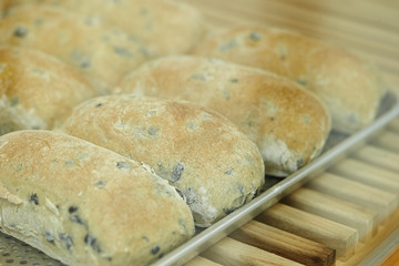 Bread at bakery 