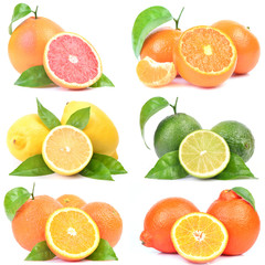 Citrus fruit