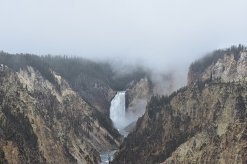 Roaring waterfall, Yellowstone National Park, Grand Canyon of the Yellowstone, Lower Falls, Wyoming