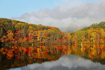 Amazing autumn lake scenery of Kagami Ike (Mirror Pond) in morning light with symmetric reflections of colorful fall foliage on smooth water & rugged Togakushi Mountain in background in Nagano, Japan