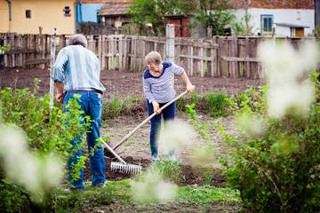 elderly couple working in spring garden