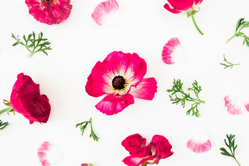 Pink flowers and petals on white background. Flat lay, top view.